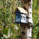 Little Bird ist jetzt auch in Baden-Württemberg gelandet.