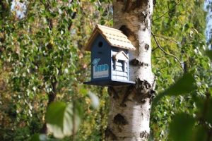 Little Bird ist jetzt auch in Baden-Württemberg gelandet.