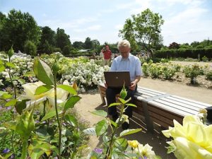 Eine Online-Befragung soll ermitteln