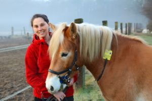 Reitkennzeichen können im Kreis Viersen jetzt auch online bestellt werden.