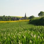 Was die Digitalisierung für den ländlichen Raum bedeutet