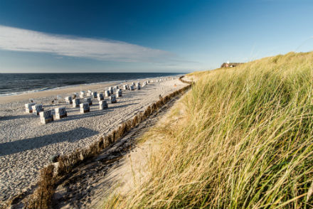 Newsletter zu Sylt werden jetzt mit E-Marketing Suite von Wilken verteilt.