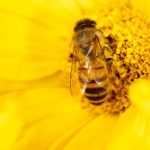 Geodaten-Auswertung hilft Kommunen
