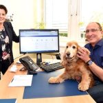 Hunde können bei der Gemeinde Ganderkesee ab sofort online angemeldet werden.