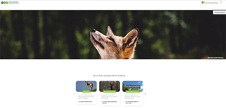 Über das Wildtierportal finden Nutzer detaillierte Informationen zu Wildtieren und der Jagd in Baden-Württemberg sowie Themen aus dem Bereich Wildtierforschung und Wildtier-Monitoring.