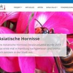 Iin diesem Jahr kontrollierten 53 Imkerinnen und Imker ihre Bienenstöcke auf Anflüge der asiatischen Hornisse und meldeten über das Portal ihre Beobachtungen.