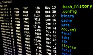 Die IT der öffentlichen Verwaltung ist nach wie vor Ziel von Cyber-Attacken.
