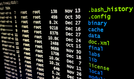 Die IT der öffentlichen Verwaltung ist nach wie vor Ziel von Cyber-Attacken.