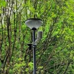 Wetterstation in Aschaffenburg erhebt Wetterdaten wie Temperatur