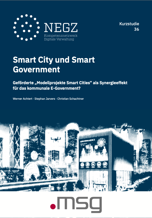 Screenshot des Deckblatts der NEGZ-Kurzstudie.