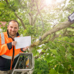 Lars Terme vom Grünflächenamt steht auf einer Hubleiter neben einem Baum mit Sensor.