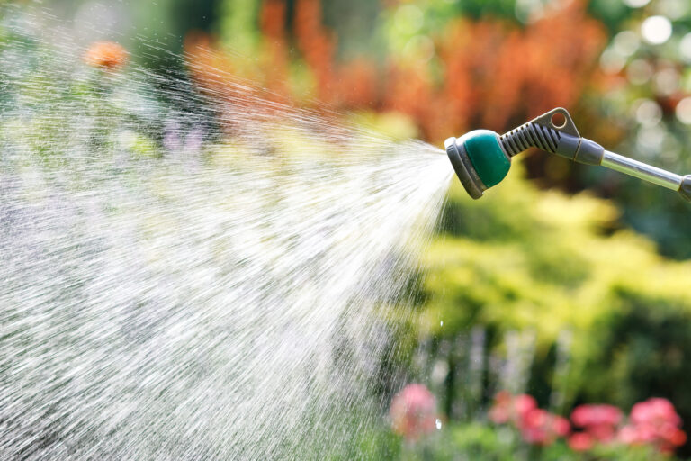 Nahaufnahme eines Gartenschlauchs, mit dem eine Grünanlage bewässert wird