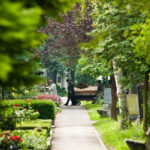 Blick über eine Reihe von Gräbern mit Trauerzug.