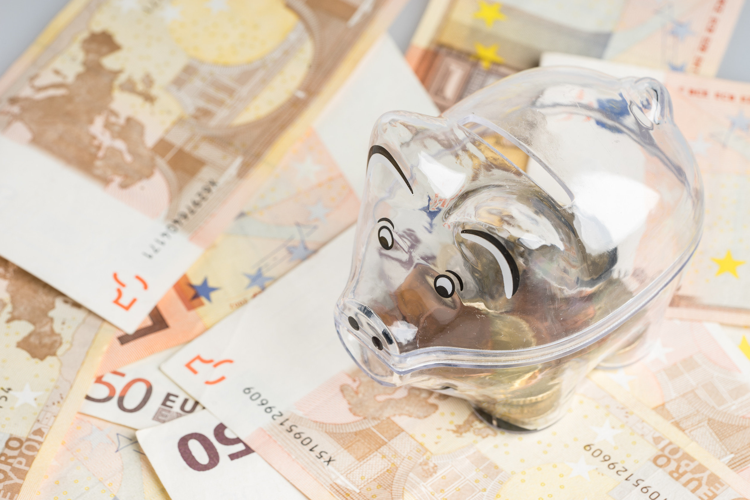 Ein durchsichtiges Sparschwein steht auf zahlreichen 50-Euro-Scheinen.