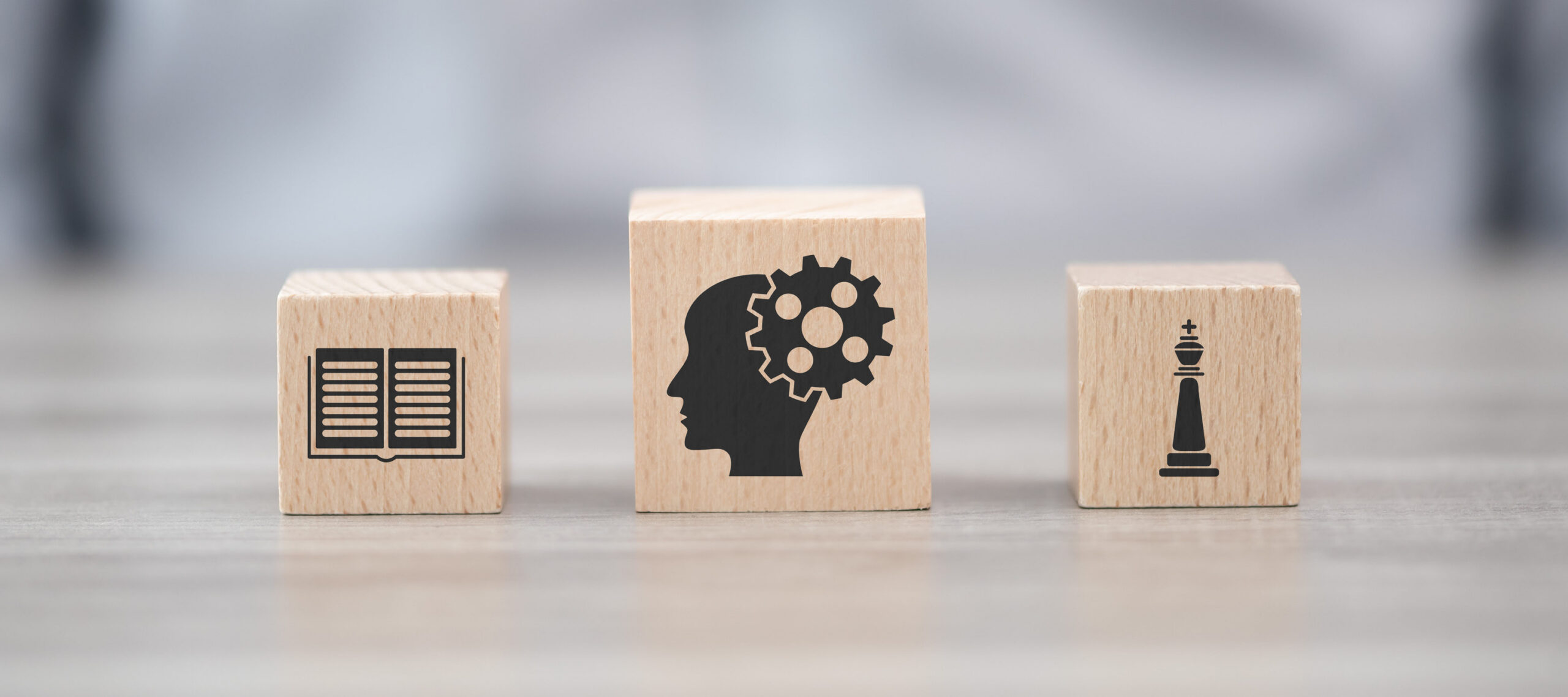 Holzklötze mit Icons: Buch, Hirn, Schachfigur