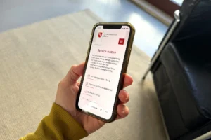 Hand hält Handy mit Website der Stadt Mainz, Relaunch