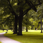 Park im Frühling, Bäume, ein Weg und Bänke