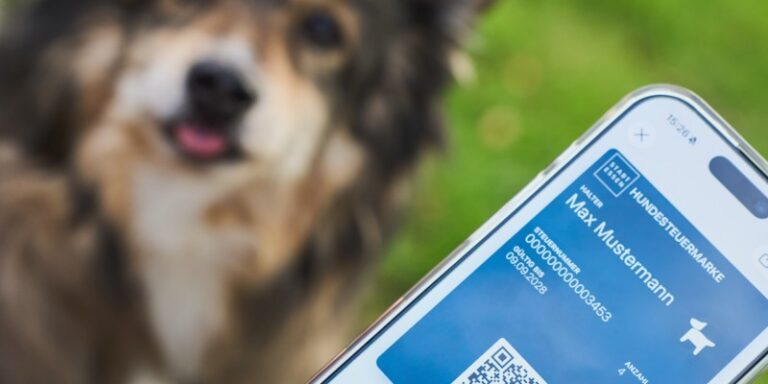Auf einem Smartphone ist eine digitale G´Hundemarke zu sehen, im Hintergrund ist verschwommen ein Hundesgesicht erkennbar