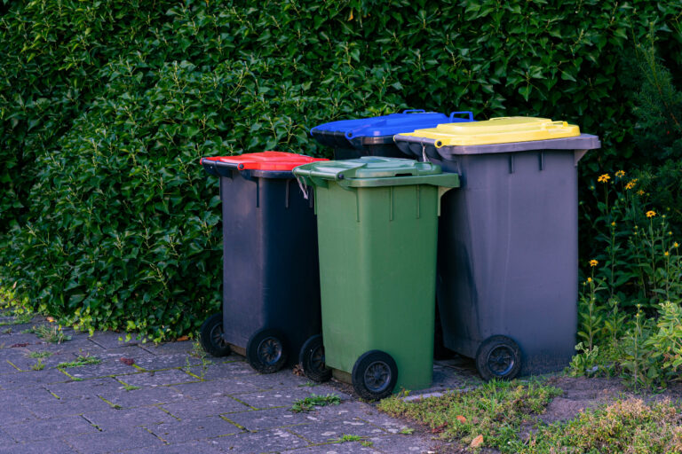 Vor einer Hecke stehen verschiedene Mülltonnen