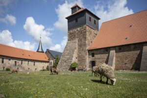 Klausurhof Kloster Ilsenburg mit Schafen