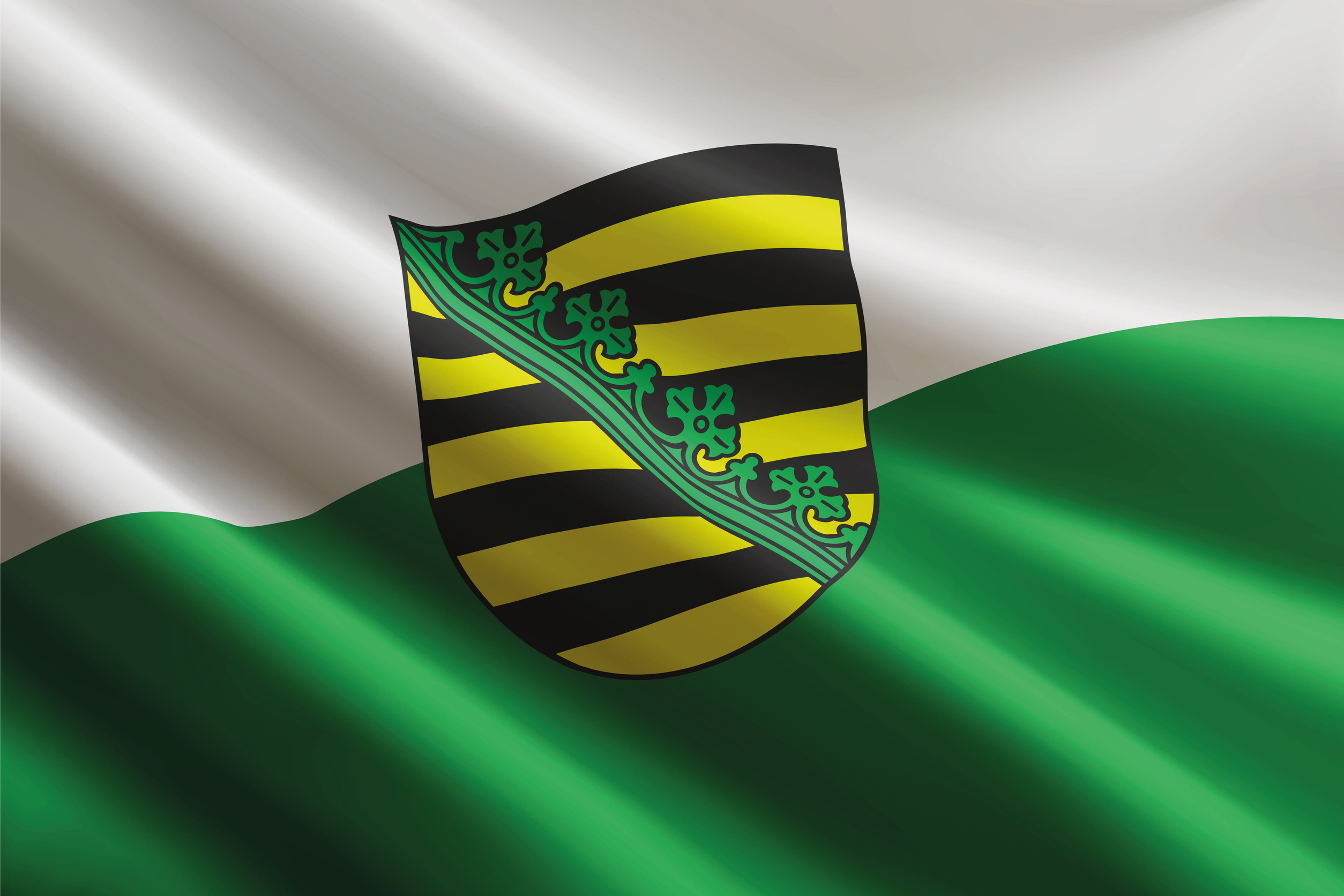 Sachsen-Flagge im Wind