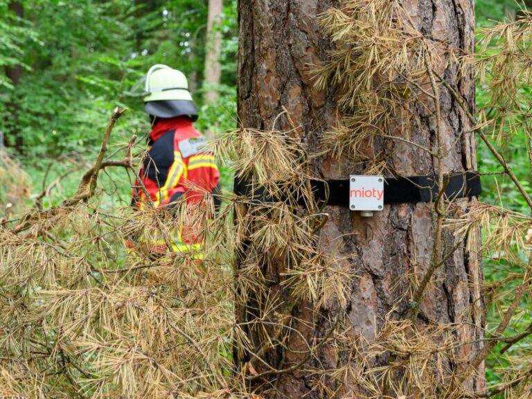 Ein Sensor an einem Baum im Tennenloher Forst, im Hintergrund eine Feuerwehrkraft