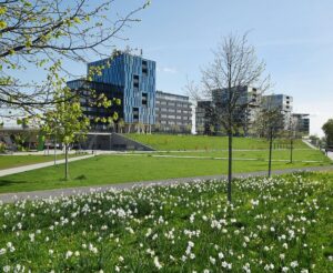 Park mit hügeliger Wiese mit weißen Blumen und noch jungen Bäumen, im Hintergrund moderne Gebäude