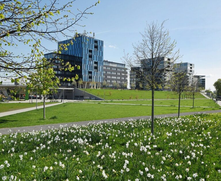 Park mit hügeliger Wiese mit weißen Blumen und noch jungen Bäumen, im Hintergrund moderne Gebäude