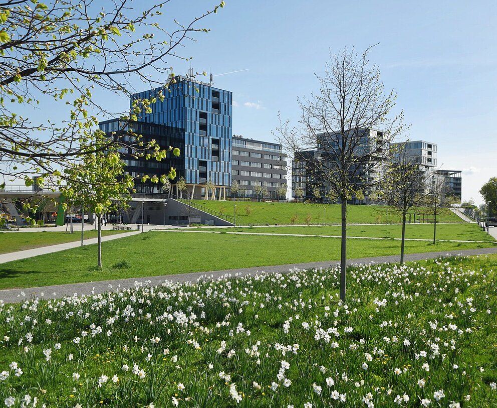 Park mit hügeliger Wiese mit weißen Blumen und noch jungen Bäumen, im Hintergrund moderne Gebäude